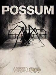 Опоссум / Possum