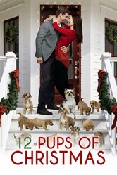 12 щенят Рождества / 12 Pups of Christmas