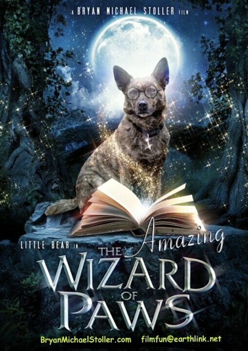 Удивительный волшебник из Лапы / The Amazing Wizard of Paws
