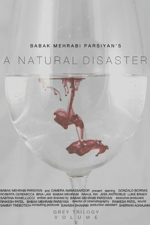 Стихийное бедствие / A Natural Disaster