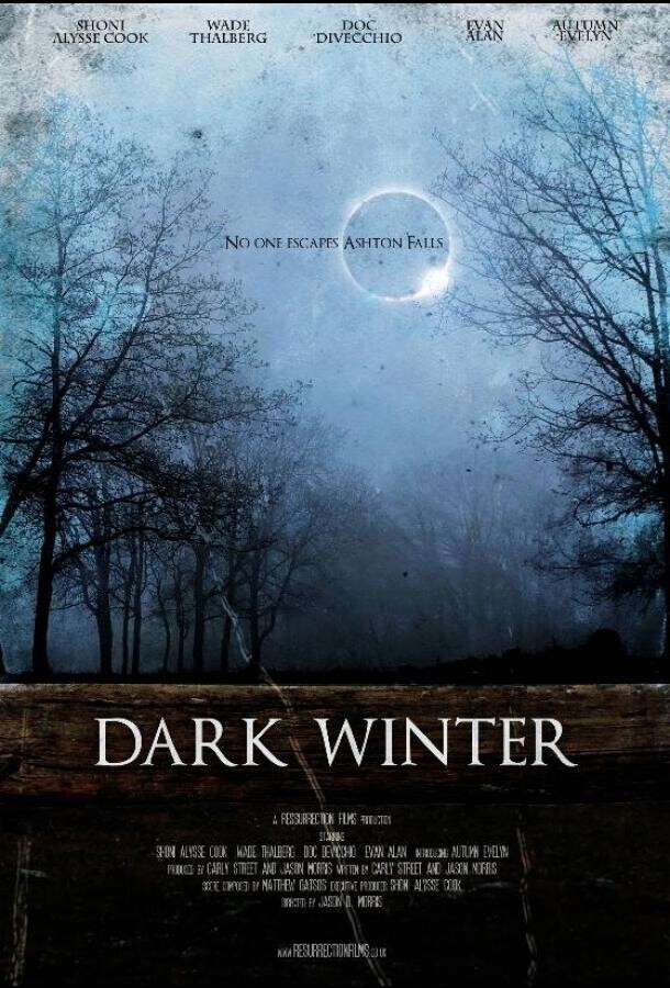 Тёмная зима / Dark Winter