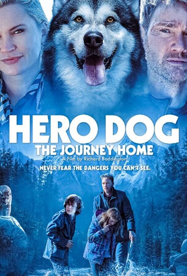 Собака-герой: путешествие домой / Hero Dog: The Journey Home (Against The Wild III: The Journey Home)