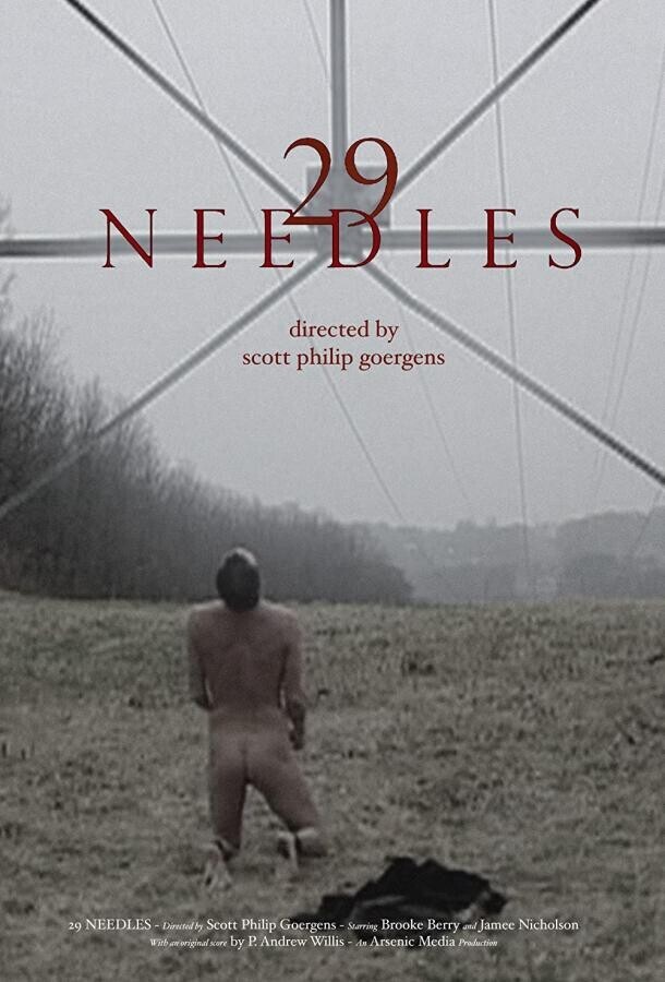 29 игл / 29 Needles