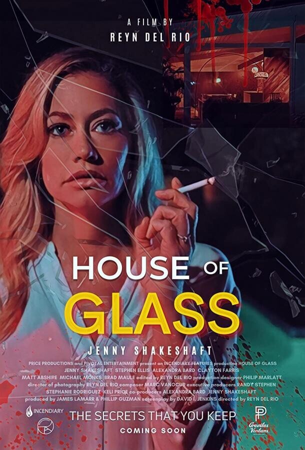 Дом из стекла / House of Glass