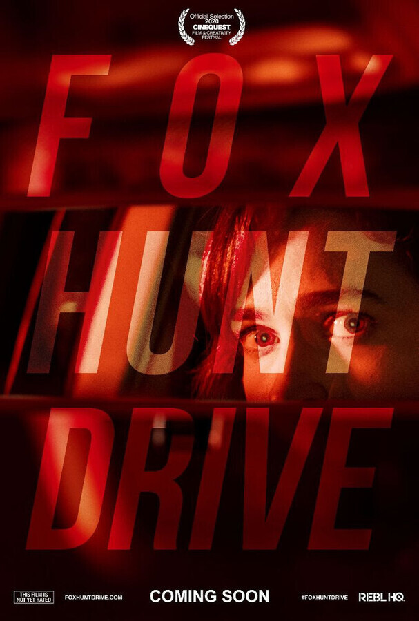 В опасности / Fox Hunt Drive
