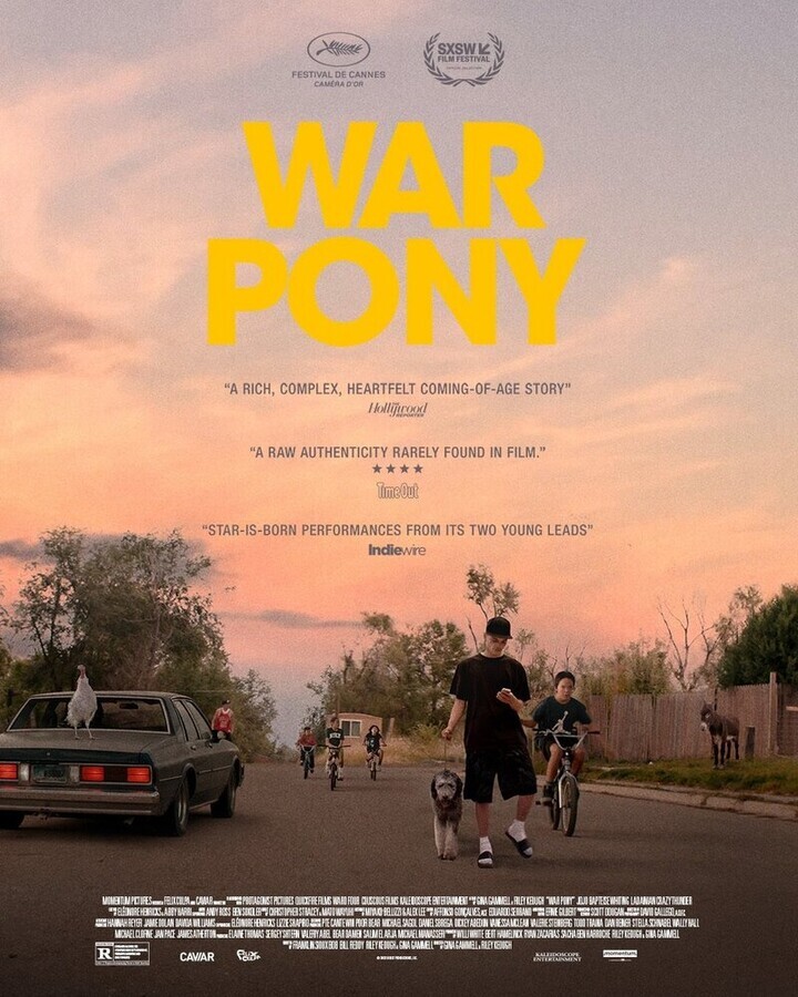 Боевой пони / War Pony