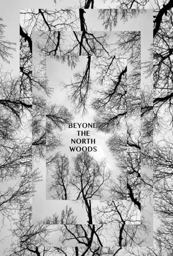За Северным лесом / Beyond the North Woods