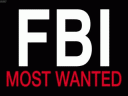 ФБР: Самые разыскиваемые преступники (1 сезон) - 9 серия