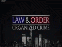 Закон и порядок: Организованная преступность (1 сезон) - 4 серия