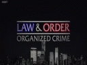 Закон и порядок: Организованная преступность (2 сезон) - 10 серия